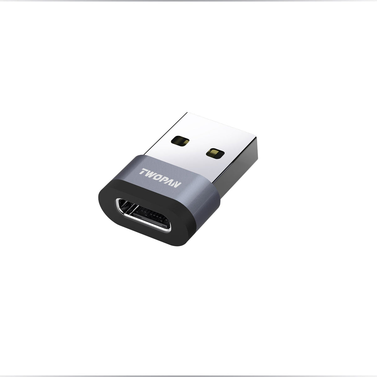 Twopan 5Gbps USB - C to USB - A Male Adapter - Twopan SSD